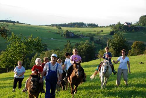 Pension Schneider in Freiamt