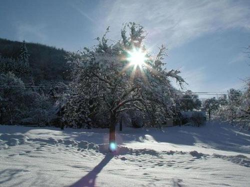pensionschneiderwinter