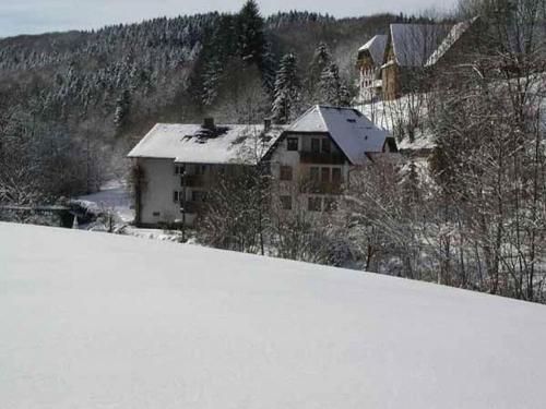 pensionschneiderschnee