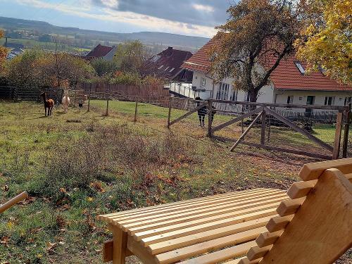 Familienliege inmitten der Herde