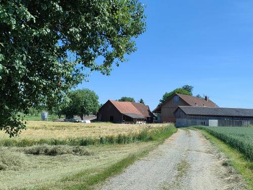 Ferienhof Kornmayer