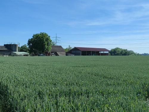 Ferienhof Kornmayer Umgebung