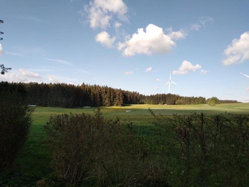 Zinipi FINN