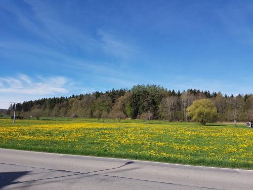nuibauers_hof_wiese