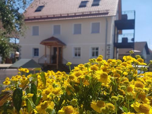 nuibauers_hof_blick_mit_blumen