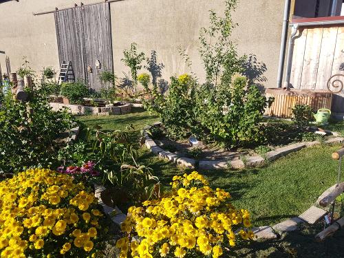 Der Garten