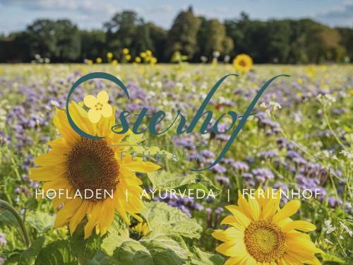 bildschirmfoto2022-07-29um11.53.34 bildschirmfoto2022-07-29um11.53.34