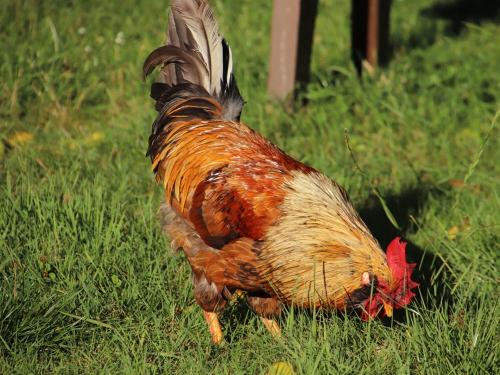 photo-2022-09-02-11-39-044 photo-2022-09-02-11-39-044