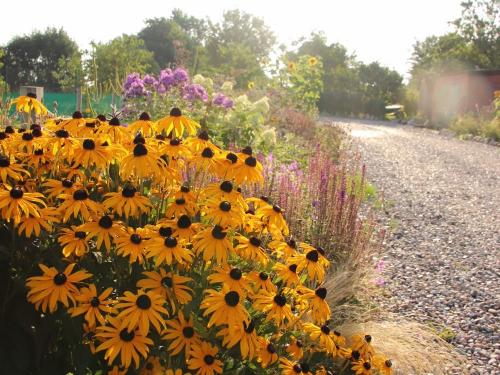 photo-2022-08-18-10-04-52 photo-2022-08-18-10-04-52