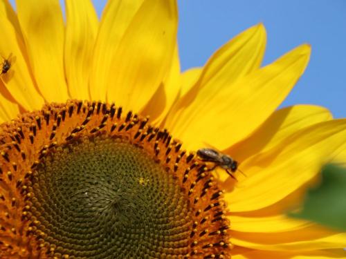 photo-2022-08-18-10-04-552 photo-2022-08-18-10-04-552