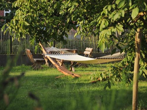 photo-2022-08-18-10-04-262 photo-2022-08-18-10-04-262