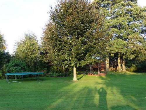 Große Wiese mit Trampolin