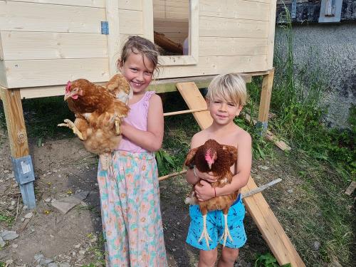 Unsere Hühner Unsere Hühner