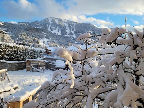 Winterlandschaft