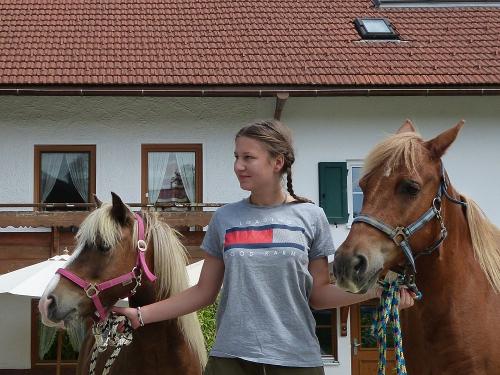 Bob und Goldi unsere Ponys