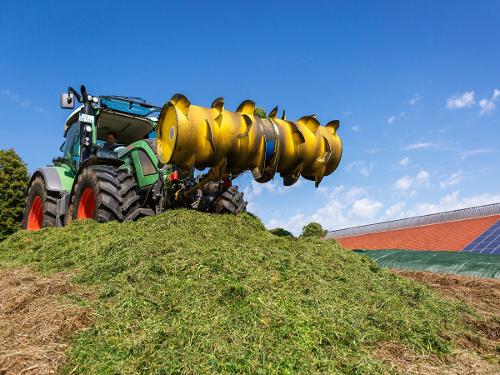 Sommerarbeit Sommerarbeit