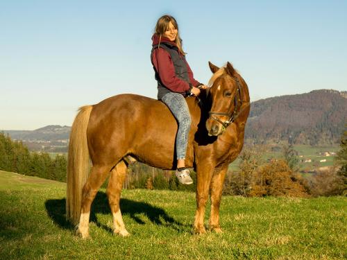 Ponyreiten Ferienhof Endreß Ponyreiten Ferienhof Endreß
