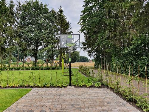 Basketballkorb