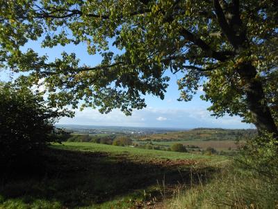 Herrliche Landschaft