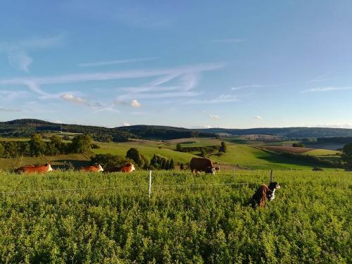 Herrliche Landschaft