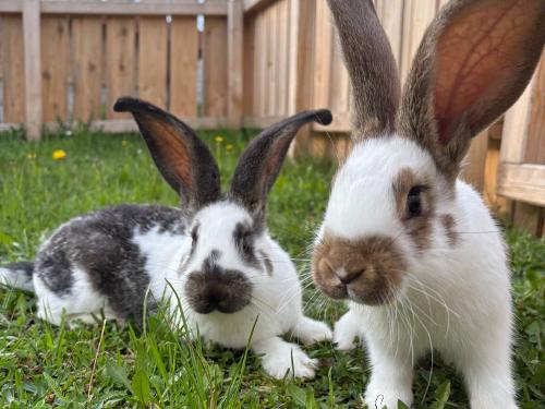 79742926-716B-41EE-ADAE-768B58715B02