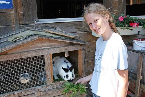 kieningerhof_kaninchen