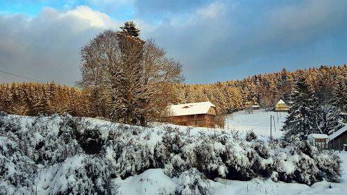 kieningerhof_winter2