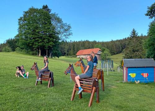 kieningerhof_reiten