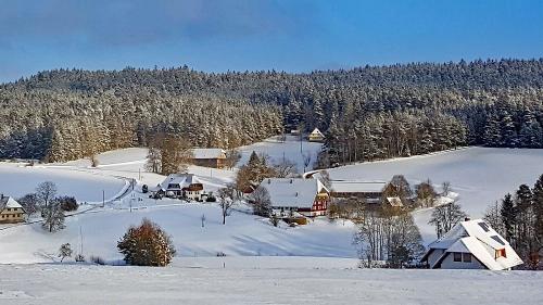 kieningerhof_winter