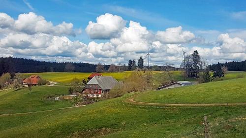 kieningerhof_talblick
