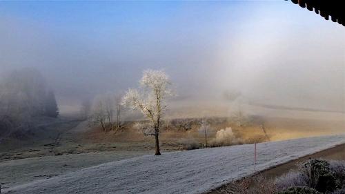 kieningerhof_winterstimmung