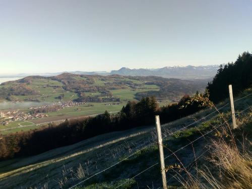 27.11.22blickvonderfrmannalm