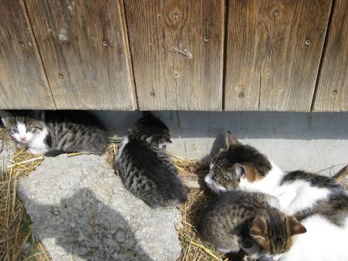 bild8