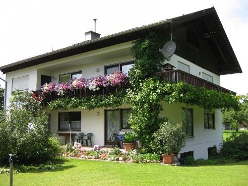 bild1