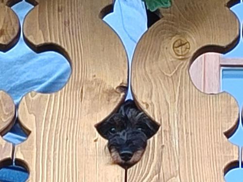 IMG_20230915_183007 Urlaub - Kopie