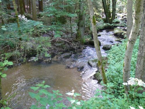 Schönes Plätzchen im Wald, zu Fuß erreichbar in 20-30min gemütlichem Spaziergang