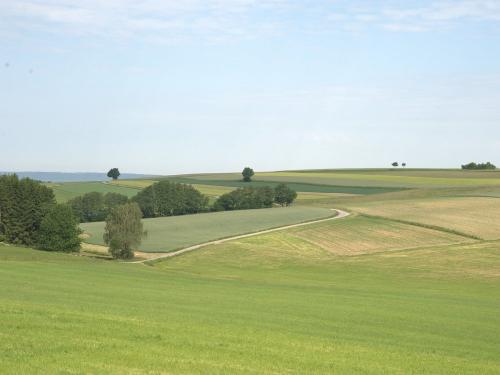 Wiesen und Felder und viel Ruhe