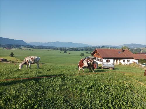 Bauernhof