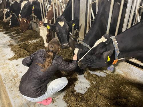 die Tiere sind neugierig