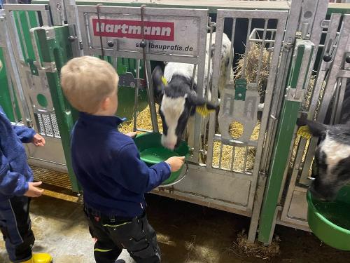 Wasser für unsere Kälbchen