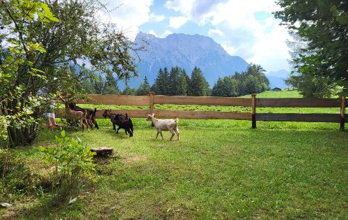 Garten Almchalet