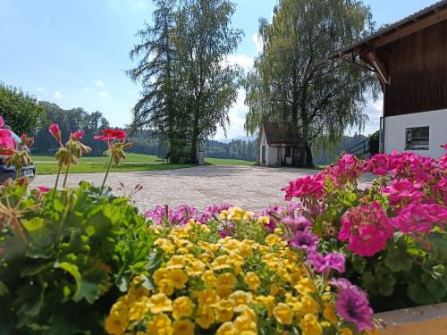 Ausblick Terrasse Ausblick Terrasse