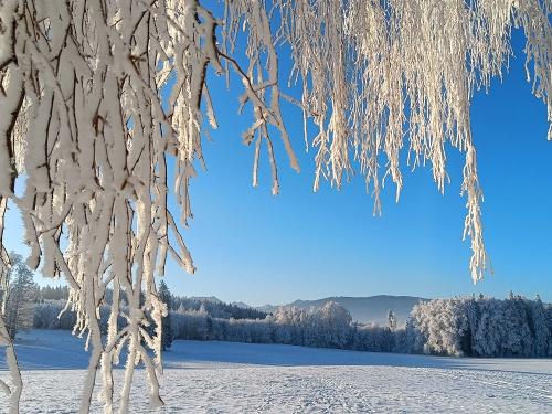 IMG20251227091303 IMG20251227091303