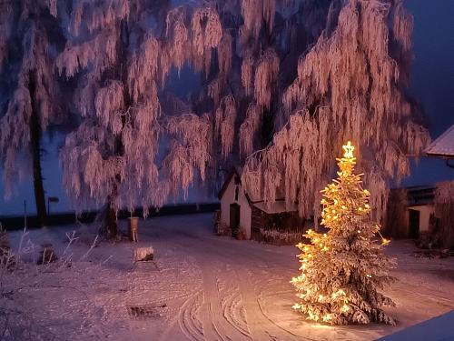 IMG20251227070333 IMG20251227070333