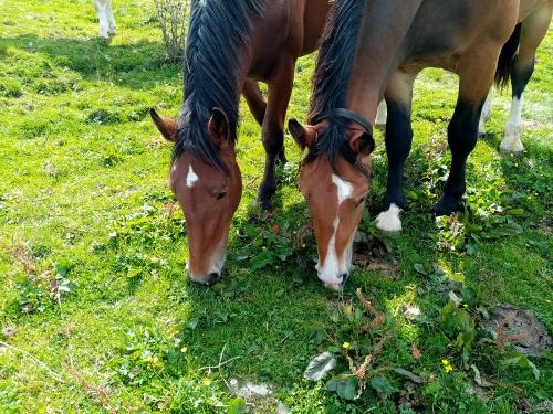 IMG-20200828-WA0008 IMG-20200828-WA0008