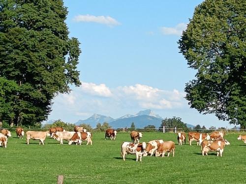 IMG-20230715-WA0001 IMG-20230715-WA0001