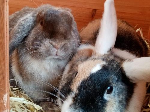 IMG-20230208-WA0000 IMG-20230208-WA0000