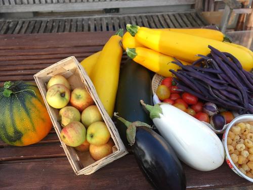 Ernteprodukte im August