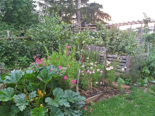 Nutzgarten