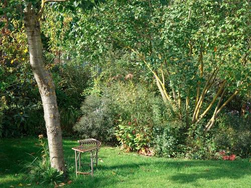 Gartenstauden